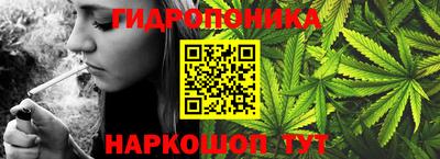 эйфоретик Гусев