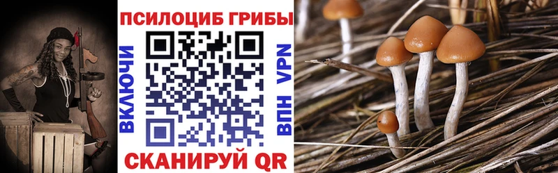 Псилоцибиновые грибы GOLDEN TEACHER  omg ONION  Мыски 